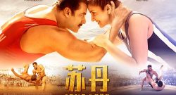 Sultan China Box Office Collection