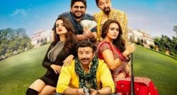 Bhaiaji Superhit box office collection