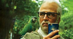 2.0 14th Day Box Office Collection