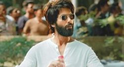 Kabir Singh Budget & Box Office Collection
