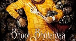 Bhool Bhulaiyaa 2 Box Office Collection Day 2