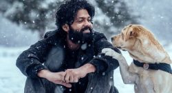 777-charlie-box-office-collection