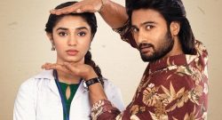 AaAmmayi Gurinchi Meeku Cheppali Box Office Collection