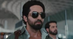 An Action Hero Box Office Collection