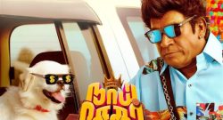 Naai Sekar Returns Box Office Collection