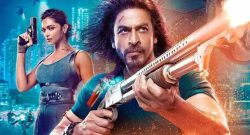 Pathaan Box Office Collection day 14