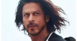 Pathaan Box Office Collection day 20