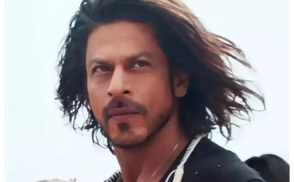 Pathaan Box Office Collection day 20