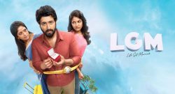 Lets Get married Box Office Collection