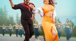 Bholaa-Shankar-Box-Office-Collection