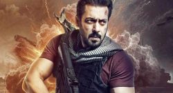 tiger3-day14-box-office-collection