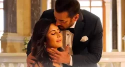 tiger3-day15-box-office-collection