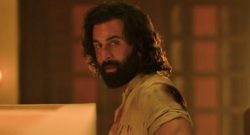 Animal Box Office Collection Day 15