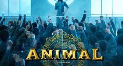 Animal Box Office Collection Day 11