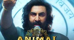 Animal Box Office Collection Day 12
