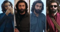 Animal Box Office Collection Day 3