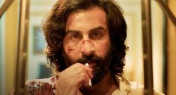 Animal Box Office Collection Day 9