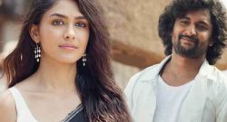 hi nanna box office collection