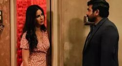 Merry Christmas Box Office Collection