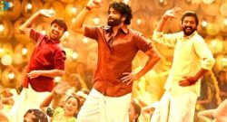 Naa-Saami-Ranga-Box-Office-Collection