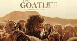 The Goat Life Box Office Collection