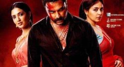 Gangs-Of-Godavari-Box_Office-Collection