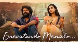 Krishnamma Box Office Collection