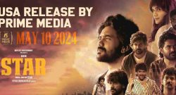 Star Box Office Collection