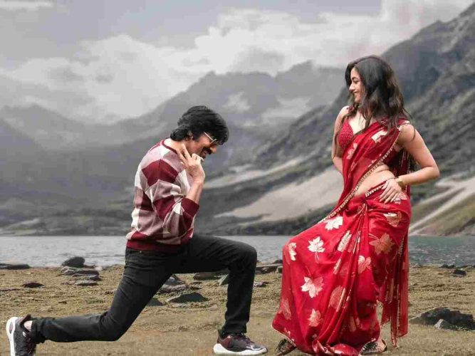 Mr-Bachchan-Box-Office-Collection