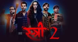 Stree-2-Box-Office-Collection-Day 11