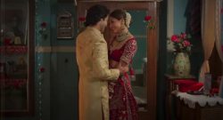 Vicky_Vidya_Ka_Woh_Wala_Video_box_Office_Collection_Day9