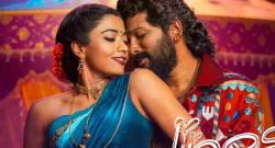 pushpa-2--the-rule_box_office_collection Day 37