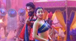 pushpa-2--the-rule_box_office_collection day 30