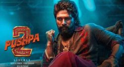 pushpa-2--the-rule_box_office_collection day 27