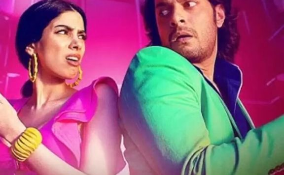Loveyapa-box-office-collection