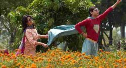 Superboys of Malegaon Box Office Collection