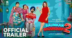 Saunkan Saunkanay 2 box Office Collection