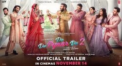 De De Pyaar De 2 Box Office Collection