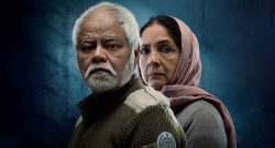 Vadh-2-Box-Office-Collection