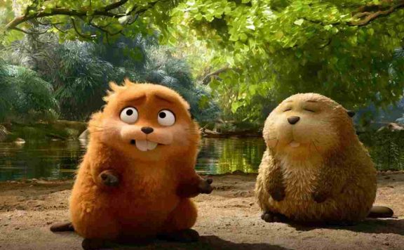 Hoppers Box Office Collection