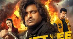 Jet Lee Box Office Collection