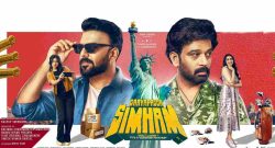 gaayapadda-simham-box-office-collection
