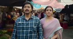 India-Story-Box-Office-Collection